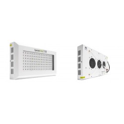 SpectraPANEL 119 VISUA FLORALED 2