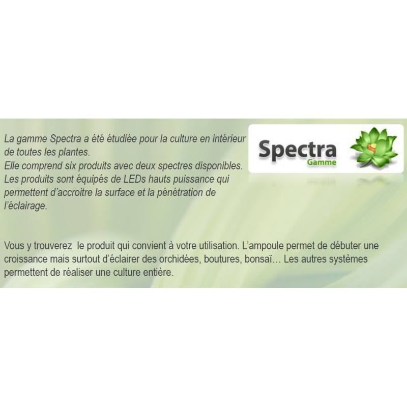 SpectraPANEL 119 VISUA FLORALED