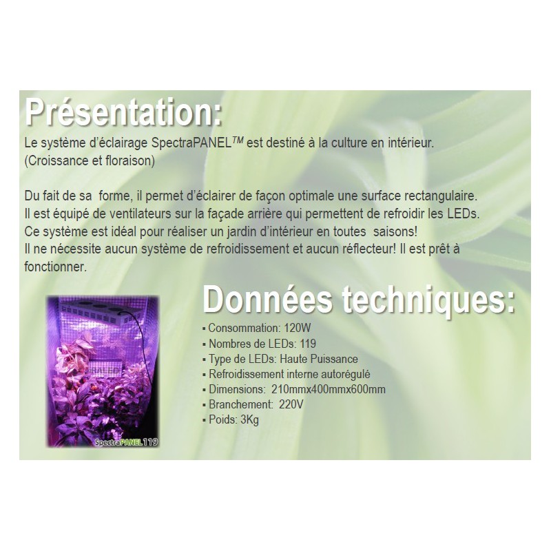 SpectraPANEL 119 VISUA FLORALED