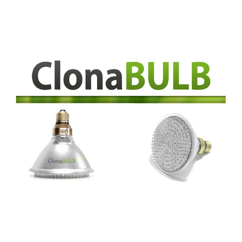 ClonaBULB 168 / 15W