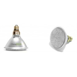 ClonaBULB 168 / 15W 2