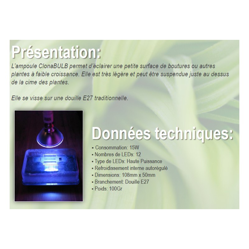 ClonaBULB 168 / 15W