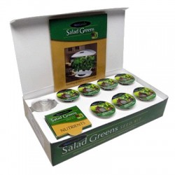 Kit Graine Salades 2