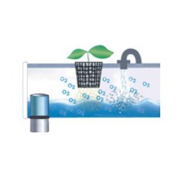 AeroFlo 56 ( Bas ) GHE 2