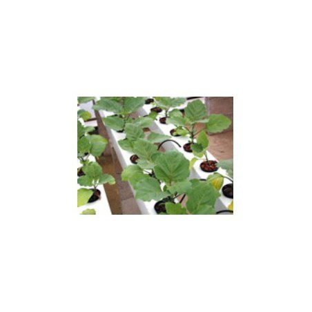 AeroFlo 56 ( Bas ) GHE