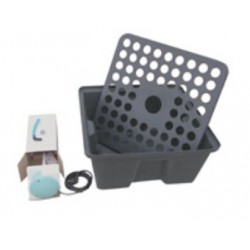 Rainforest 72 / 220 Volts GHE 2