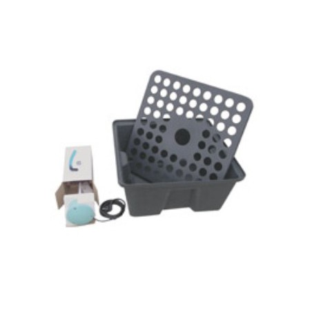 Rainforest 72 / 220 Volts GHE