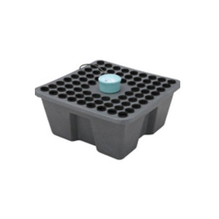 Rainforest 72 / 12 Volts GHE