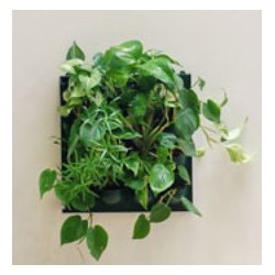 Flowall Complet Vert foncé 2