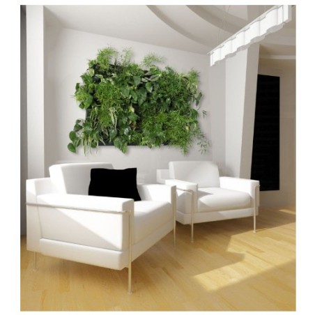 Flowall Complet Vert foncé