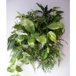 Flowall Complet Vert Tilleul  2