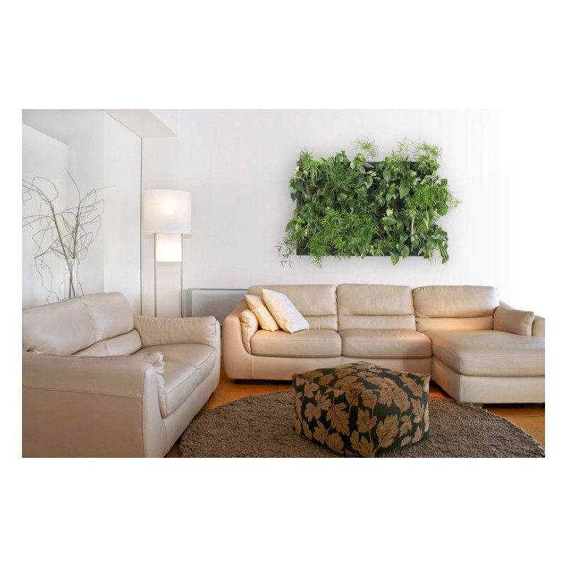 Flowall Complet Vert Tilleul