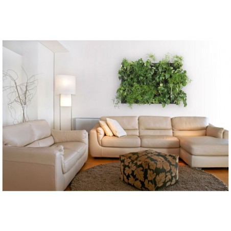 Flowall Complet Vert Tilleul 