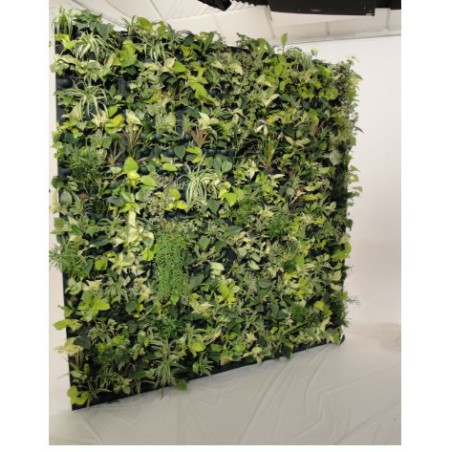 Flowall Complet Vert Tilleul 