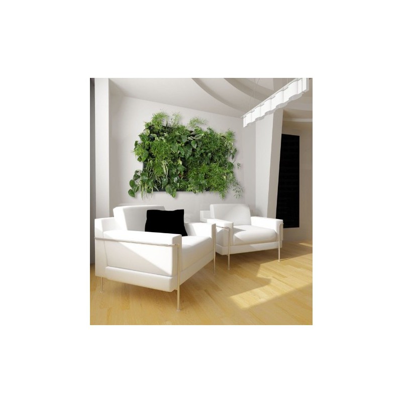 Flowall Complet Terra Cotta