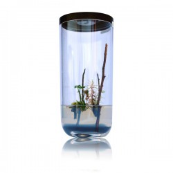 GreenPocket Carnivores Drosera 2