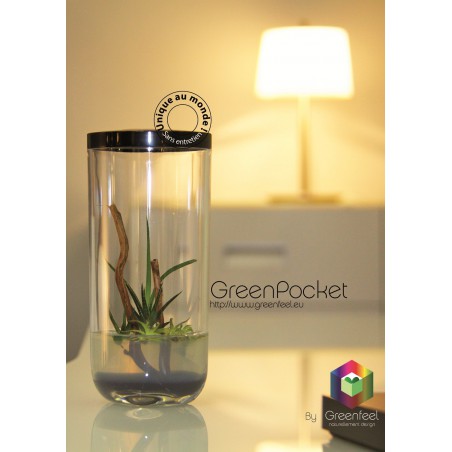 GreenPocket RainForest