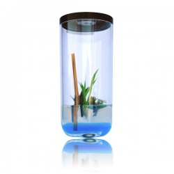 GreenPocket Aloès 2