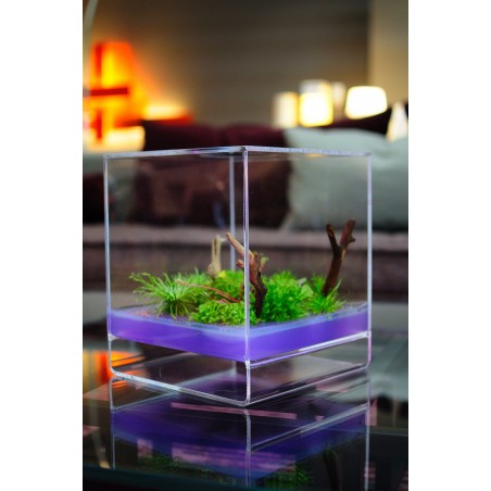 GreenCube