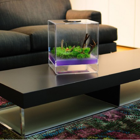 GreenCube