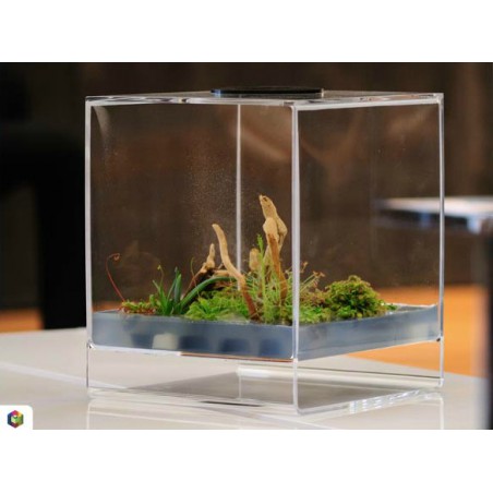 GreenCube
