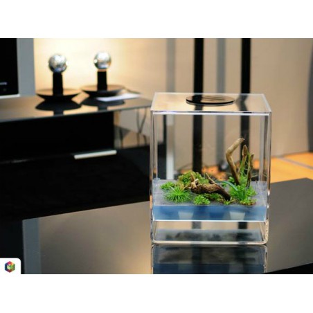 GreenCube