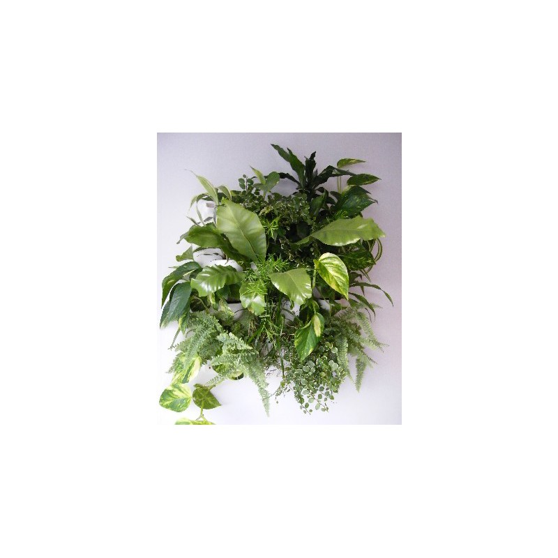 Flowall complet blanc