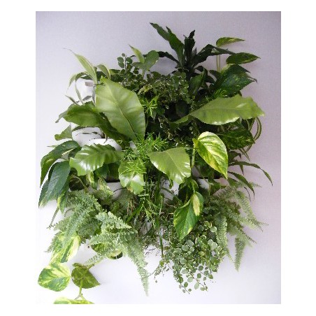 Flowall complet blanc