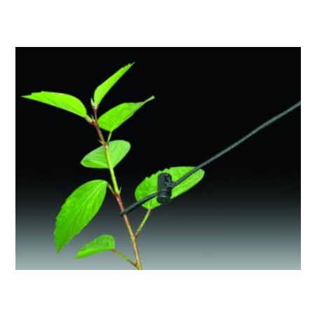 Holdit maintien pour plantes 1.5 m