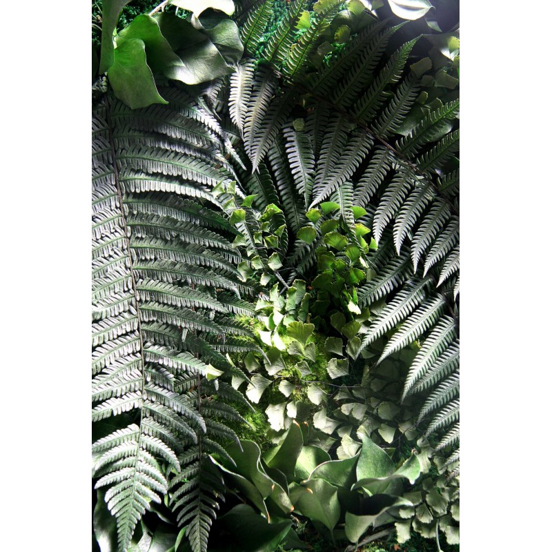 PicaGreen Maxi Vertical