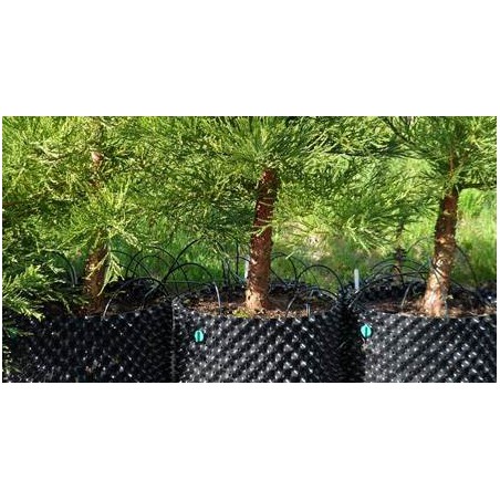 Air Pot 5L