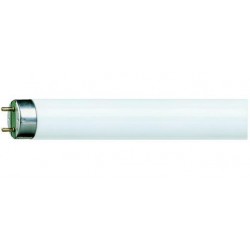 Néon T5 tube 54 W, 6500 K