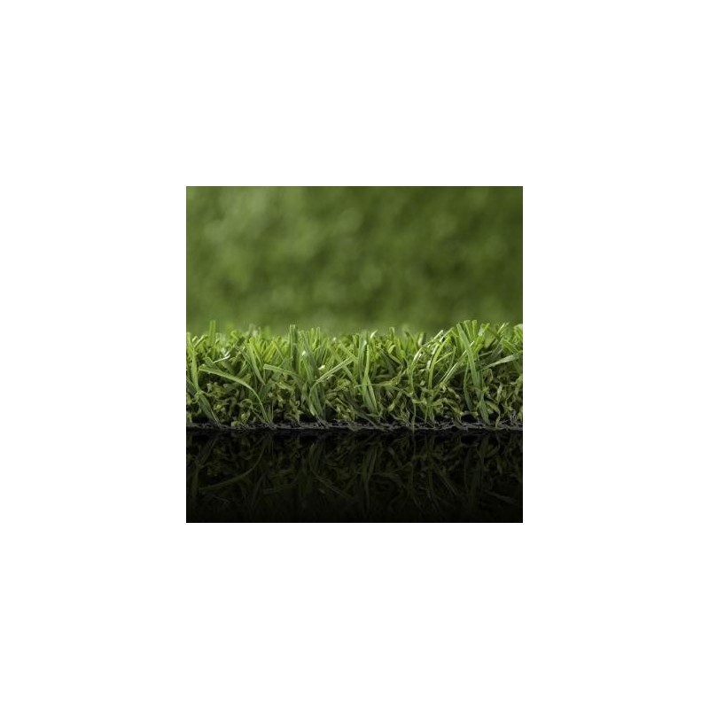 Gazon GreenWave Namgrass
