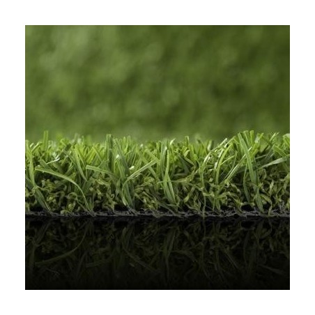 Gazon GreenWave Namgrass