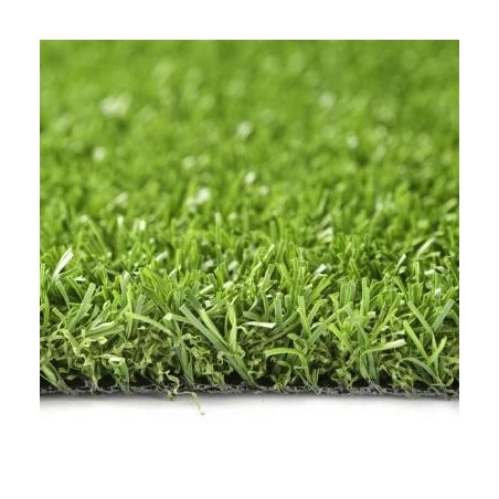 Gazon GreenWave Namgrass