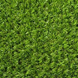 Gazon GreenWave Namgrass 2
