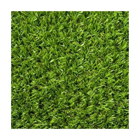 Gazon GreenWave Namgrass