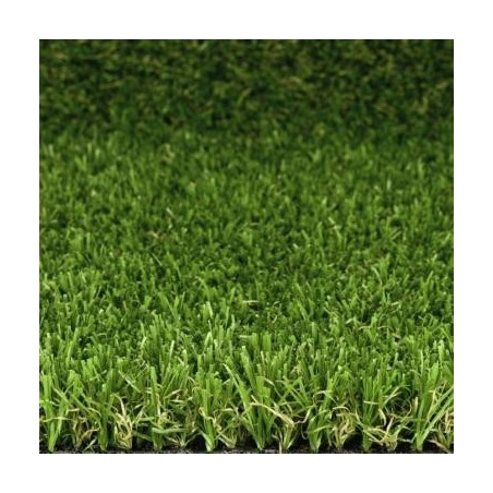 Gazon GreenOasis