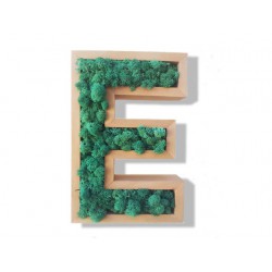 Lettre E végétale