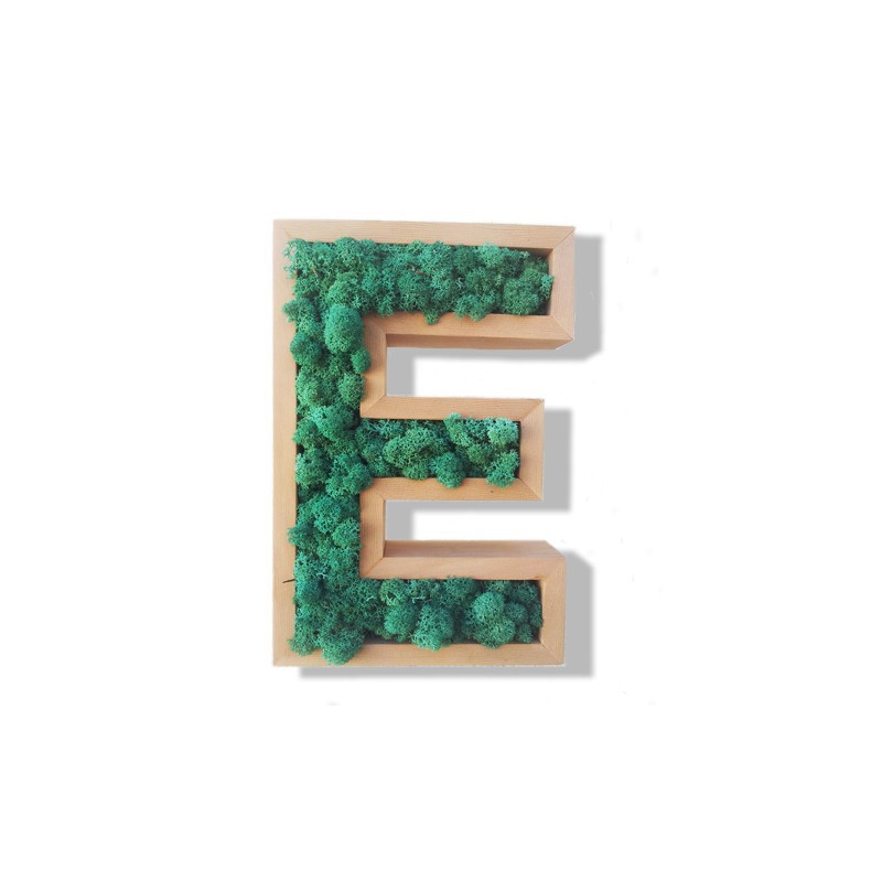 Lettre E végétale