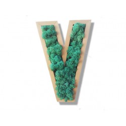 Lettre E végétale 2