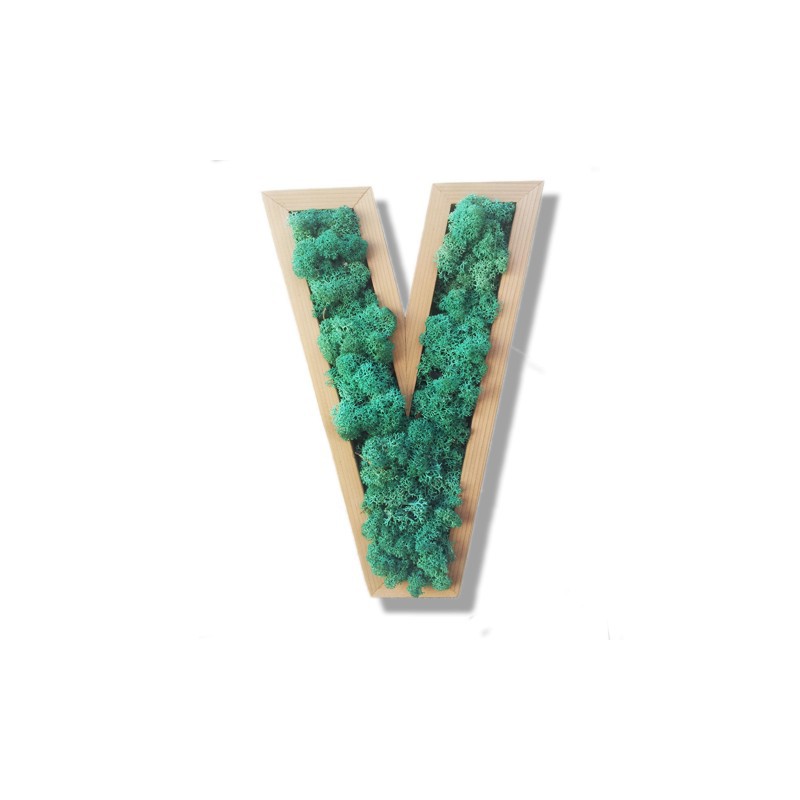 Lettre E végétale