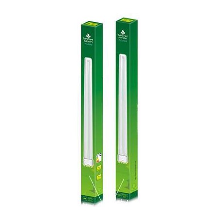 Tube néon TC-L 55W Gx11 Blanc jour : Croissance et Plante-mère 6500k