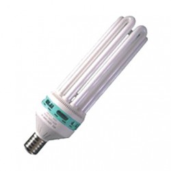 CFL 125w Florasison 2700k