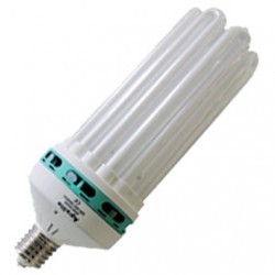 Ampoule CFL 200W 2700K Floraison