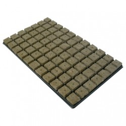 Plateau de germination 77 cubes LDR GRODAN