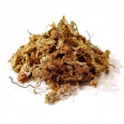 Sphaigne du Chili 150 gr