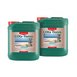 Canna Cogr Flores A+B (2x5L)