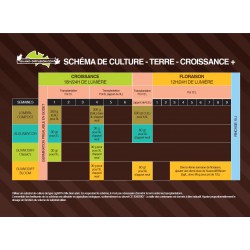 Schéma Culture Terre Guano-Diffusion 2