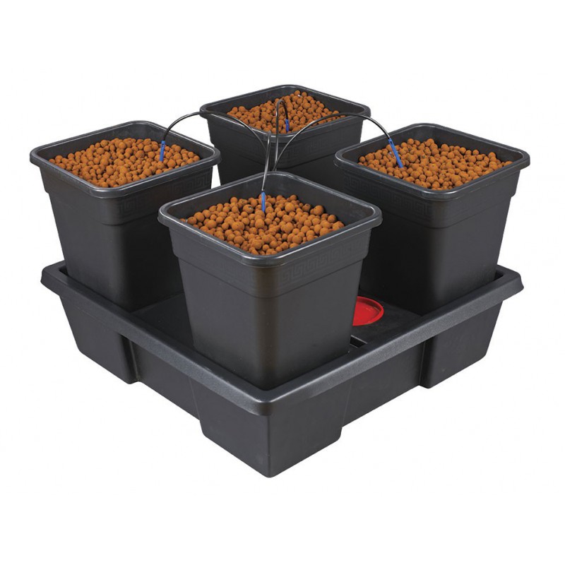 ORIGIN 4 Plantes Grand Pots 18 Litres